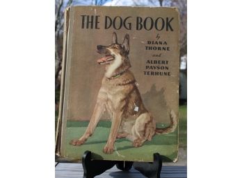 1932 First Edition The Dog Book By Diana Thorne & Albert Payson Terhune