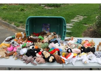 Huge Container Full Of Over 75 Collectible Beanie Babies