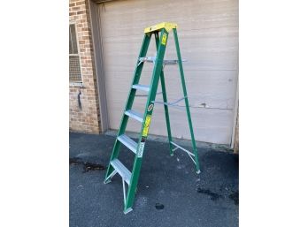 Davidson 6ft Fiberglass Stepladder