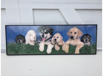 Framed Puppies Print