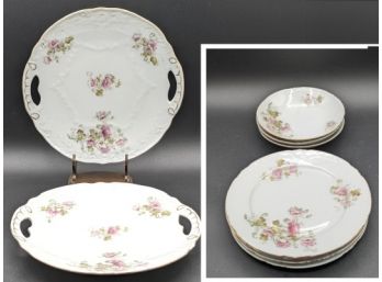 Lovely Antique China Plates From Austria - Over 100 Years Old!