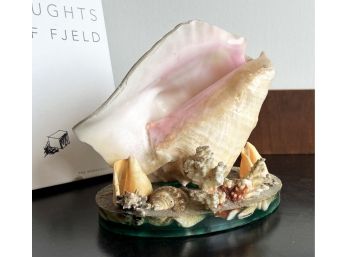 Vintage C.1950's Florida Conch Shell & Coral Decor