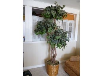 Artificial Ficus Tree