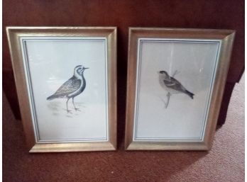 Two Bird Prints In Matching Gold Colored Wood Frames - Twite & Plover