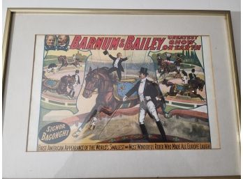 13 By 18 Framed Ringling Brothers Litho Signor Bagonghi