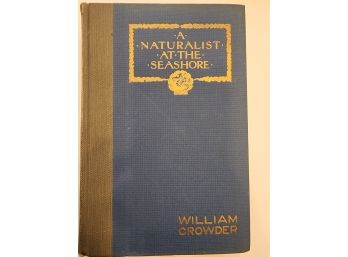 1928 First Printing A Naturalist At The Seashore