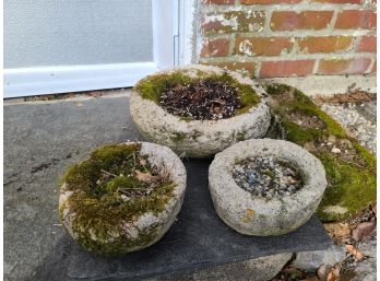 Three Faux Stone Planters With Natural Moss