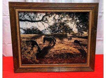 Vintage Wood Mounted Horses In Field Photograph In Wood & Linen Frame
