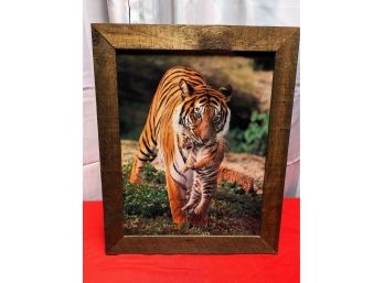 Vintage Wood Mounted Bengal Tiger & Cub Photograph In Wood Frame