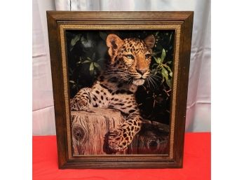 Vintage Wood Mounted Leopard Photograph In Wood & Linen Frame