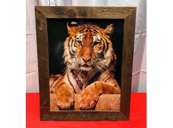 Vintage Wood Mounted Bengal Tiger Photograph In Wood Frame