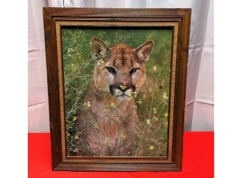 Vintage Wood Mounted Cougar Photograph In Wood & Linen Frame