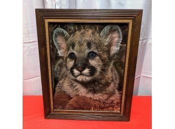 Vintage Wood Mounted Cougar Cub Photograph In Wood & Linen Frame