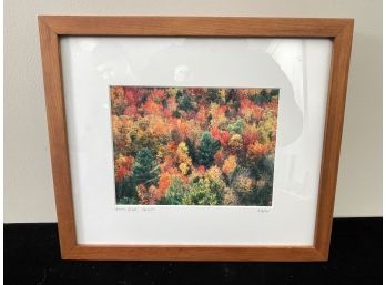 'autumn Pallet' Photo Of Fall Colors In Frame - Artist Signed