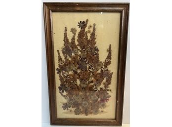 Framed Pressed Flowers