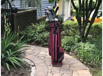 Mixed Golf Clubs And Bag