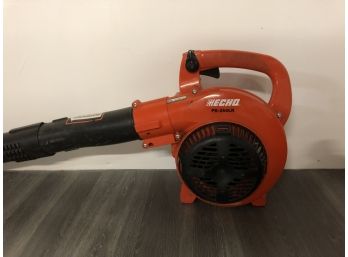 Echo Leaf Blower With Fuel Cans