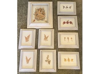 Framed Dried Flowers And Leaves