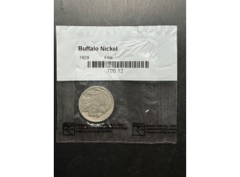 1929 Buffalo Nickel In Littleton Package