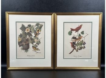 A Lovely Pair Of Framed Avian Prints: Baltimore Oriole & Summer Tanager