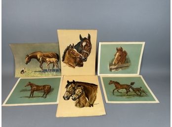 Collection Of Horse Prints