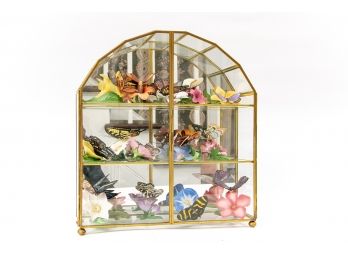 Collection Of Fine Chinese Painted Porcelain Butterflies In Display Case