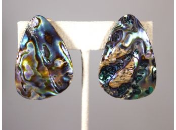 1980s Large Size Abalone Shell Clip Earrings