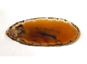 Naturalistic Petrified Wood Oval Formed Brooch