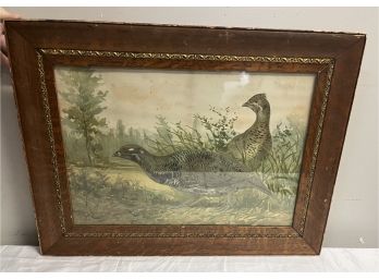 Framed Watercolor Of Game Birds Signed Lower Right