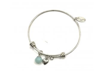 Sterling Silver Extraordinary Life Charms Bangle Bracelet