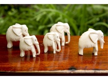 Miniature Elephants