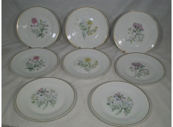 Eight RICHARD GINORI Plates In 'Primavera' Pattern - Lovely Pattern