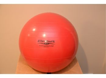 55cm Red Thera Band Professional Exercise Ball