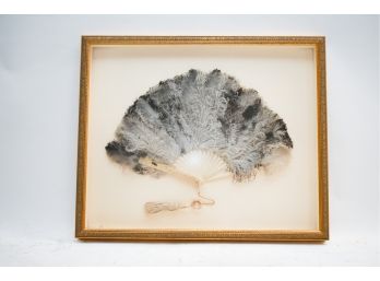 Framed Ostrich Feather Fan