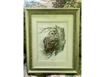 Nice Framed Owl Picture