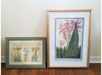 2 Vintage Hand Colored Botanical Prints