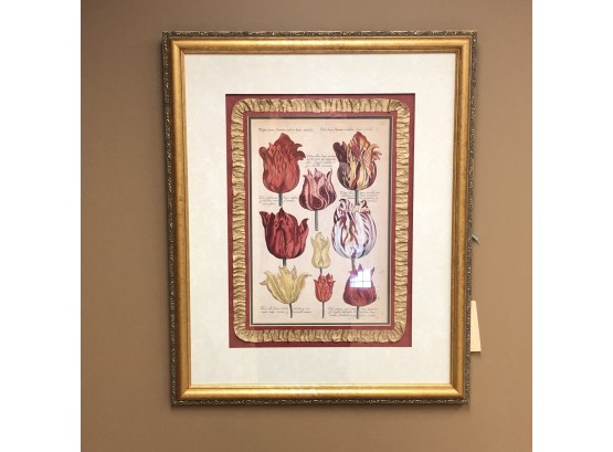 Beautifully Framed Tulip Print