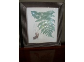 Lovely Pair Of Fern Prints In Textured Wood Frames - ($169 Each Retail)