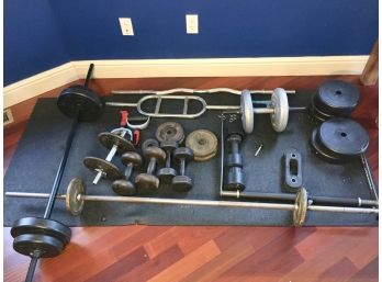 All Weights And Dumbbells Shown
