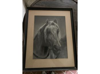 Black & White Horse Print