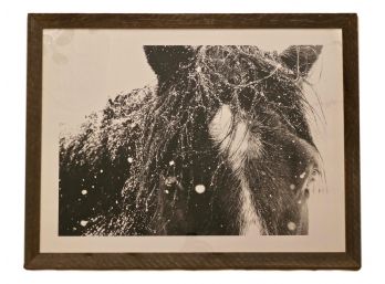 Horse Print Framed In Reclaimed Wood And Plexiglass 43.5' X  33.5”