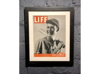 Vintage Framed Life Magazine With Ted Williams On Cover
