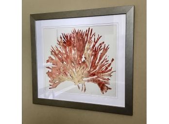 Vibrantly Colored Framed Coral Picture
