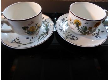 Pair Of Vintage Villeroy & Boch Botanica Cup And Saucer