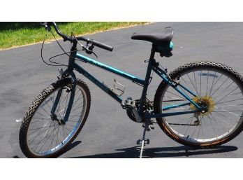 Raleigh Women's Bike, Reconditioned 21'