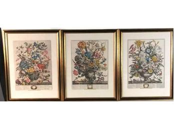 Set Of 3 Framed Prints From Henry Fletcher's Botanical Months Of The Year