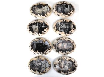 Spirits Of The Forest By Rusty Frentner: Set Of 6 Bradford Exchange Collector Plates Of Wolves