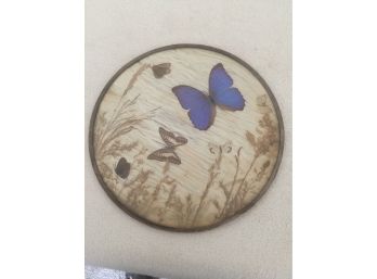 Vintage Real Butterflies And Flowers Under Glass Disk
