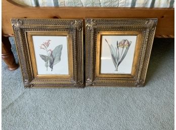 2  Framed Prints ~ Beautiful Frames ~