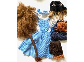 3 Adult Wizard Of Oz Costumes: Dorothy, Scarecrow & Lion